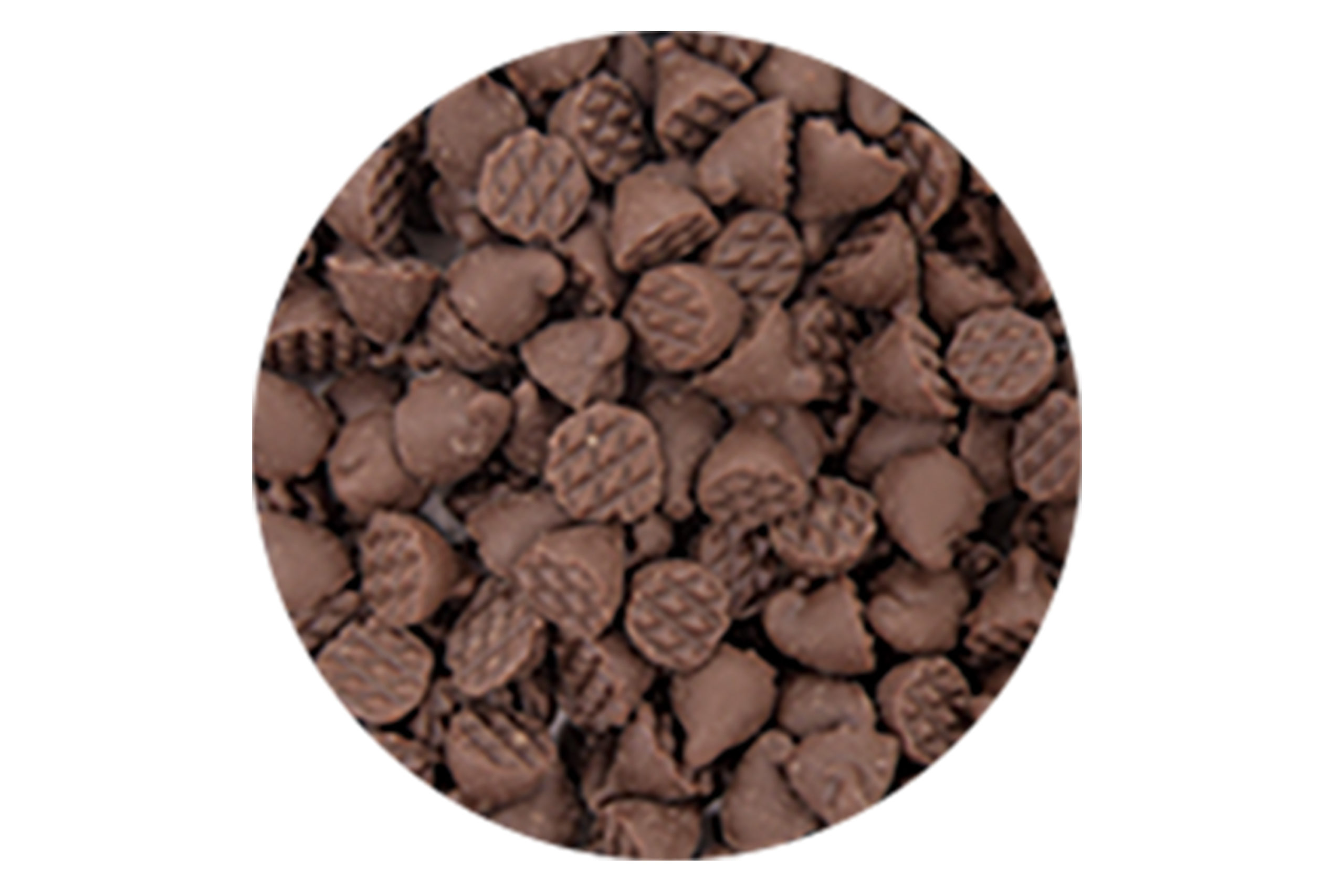 チョコチップ10A | 製品紹介 | 東京フード株式会社